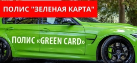 Зеленый полис