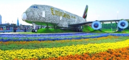 Miracle Garden