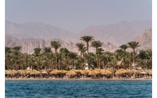 Горящий тур в Египет | Шарм-эль-Шейх. 26 августа на 7 ночей. Вылет из Санкт-Петербурга
