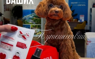 Собрали осенний трэвел-сет для тех, кто в пути даже в октябре 